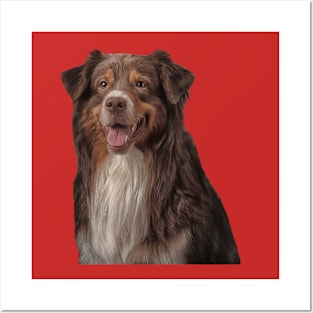 Dog breed Australian Shepherd Posters and Art